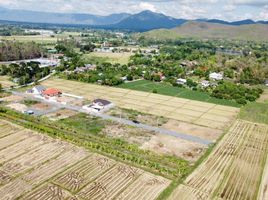  Grundstück zu verkaufen in San Kamphaeng, Chiang Mai, Chae Chang, San Kamphaeng, Chiang Mai