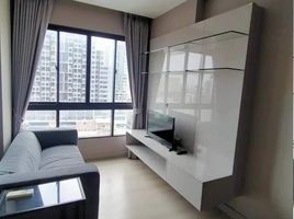 1 Bedroom Condo for rent at The Signature by URBANO, Sam Sen Nai, Phaya Thai