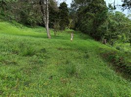  Grundstück zu verkaufen in Escazu, San Jose, Escazu