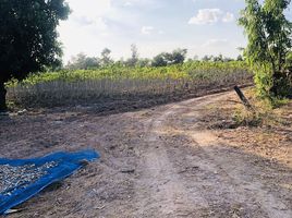  Grundstück zu verkaufen in Trakan Phuet Phon, Ubon Ratchathani, Na Samai