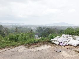  Land for sale in Big Buddha, Karon, Chalong