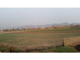  Land for sale in Lima, Lurigancho, Lima, Lima