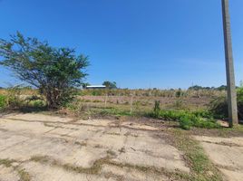  Land for sale in Don Khoi, Kamphaeng Saen, Don Khoi