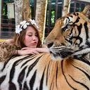 Tiger Kingdom - Phuket, 卡图房产出租