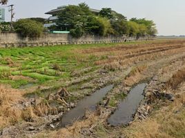 ขายที่ดิน ใน ลำลูกกา ปทุมธานี, บึงคำพร้อย, ลำลูกกา, ปทุมธานี