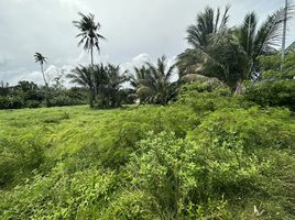  Grundstück zu verkaufen in Thalang, Phuket, Mai Khao, Thalang, Phuket