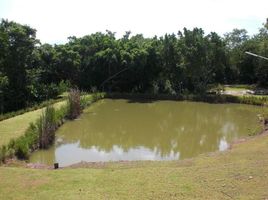 3 Schlafzimmer Haus zu verkaufen in Pak Chong, Nakhon Ratchasima, Mu Si, Pak Chong