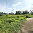  Land for sale in Si Sunthon, Phuket, Si Sunthon