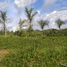  Grundstück zu verkaufen in Presidente Figueiredo, Amazonas, Presidente Figueiredo, Amazonas