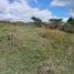  Land for sale in Guaimaca Francisco Morazan, Guaimaca, Francisco Morazan
