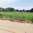  Land for sale in Mueang Nakhon Sawan, Nakhon Sawan, Bang Phra Luang, Mueang Nakhon Sawan