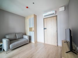 1 Schlafzimmer Appartement zu vermieten im Ideo O2, Bang Na, Bang Na