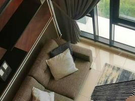 Studio Penthouse for rent at Amore at Portofino, Muntinlupa City