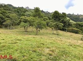 Land for sale in Antioquia, Copacabana, Antioquia