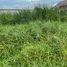  Land for sale in Lam Luk Ka, Pathum Thani, Khu Khot, Lam Luk Ka