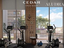 3 Bedroom Condo for sale at Cedar, Creek Beach, Dubai Creek Harbour (The Lagoons), Dubai