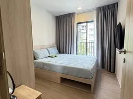 2 Schlafzimmer Wohnung zu vermieten im Dcondo Reef Phuket, Kathu, Kathu, Phuket