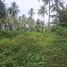  Land for sale in Thai Mueang, Thai Mueang, Thai Mueang