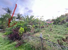  Land for sale in Thalang, Phuket, Thep Krasattri, Thalang