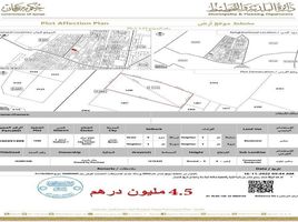  भूमि for sale at Al Nakhil, Al Rashidiya 2
