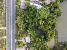 ขายที่ดิน ใน ท้ายเหมือง พังงา, ท้ายเหมือง, ท้ายเหมือง