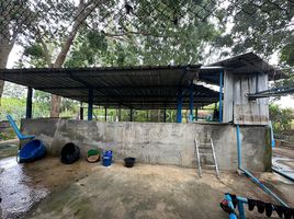  Grundstück zu verkaufen in Kamphaeng Saen, Nakhon Pathom, Thung Luk Nok
