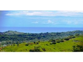  Land for sale in Puntarenas, Osa, Puntarenas