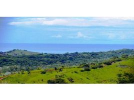  Land for sale in Osa, Puntarenas, Osa