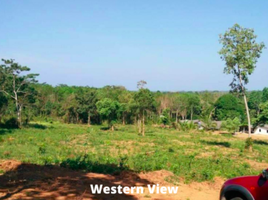  Land for sale in Mai Khao, Thalang, Mai Khao