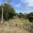  Land for sale in Khlong Muang, Pak Chong, Khlong Muang