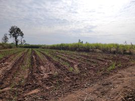  Grundstück zu verkaufen in Nong Ruea, Khon Kaen, Non Sa-At