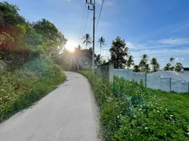  Land for sale in Surat Thani, Maenam, Koh Samui, Surat Thani