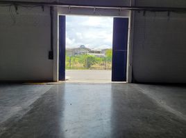  Warehouse for rent in MRT Station, Bangkok, Bang Na, Bang Na, Bangkok