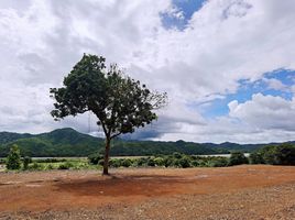  Grundstück zu verkaufen in Chiang Khan, Loei, Bu Hom