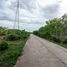 ขายที่ดิน ใน หาดใหญ่ สงขลา, พะตง, หาดใหญ่, สงขลา