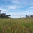  Land for sale in Presidente Figueiredo, Presidente Figueiredo, Presidente Figueiredo