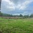  Land for sale in Surat Thani, Bo Phut, Koh Samui, Surat Thani