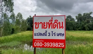 Phen, Udon Thani တွင် N/A မြေ ရောင်းရန်အတွက်