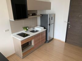 1 Bedroom Condo for rent at Rhythm Sukhumvit 50, Phra Khanong