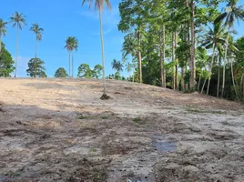  Grundstück zu verkaufen in Koh Samui, Surat Thani, Maret