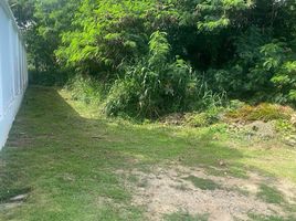  Land for sale at Land Plot Tala in Rawai, Rawai, Phuket Town