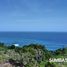  Grundstück zu verkaufen in Sumba Barat, East Nusa Tenggara, Kodi, Sumba Barat, East Nusa Tenggara, Indonesien