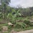  Land for sale in Phuket Town Phuket, Chalong