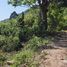  Land for sale in Surat Thani, Maenam, Koh Samui, Surat Thani