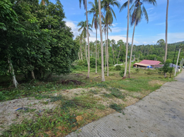  Grundstück zu verkaufen in Koh Samui, Surat Thani, Bo Phut, Koh Samui, Surat Thani