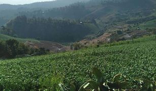 N/A Land for sale in Mae Na Toeng, Mae Hong Son 