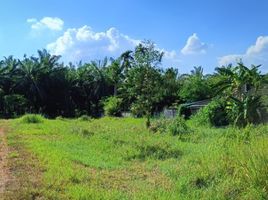  Land for sale in Khao Din, Khao Phanom, Khao Din