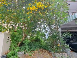  Grundstück zu verkaufen in Talat Nuea, Phuket, Talat Nuea