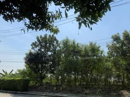  Land for sale at Evergreen City, Bang Khae Nuea