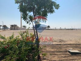  Land for sale at Saadiyat Reserve, Saadiyat Island